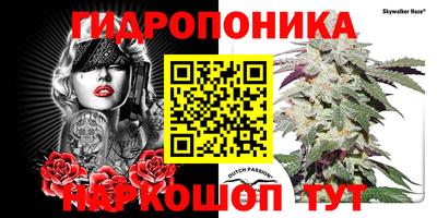 jwh Ставрополь