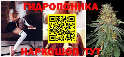 прущие грибы Тверь