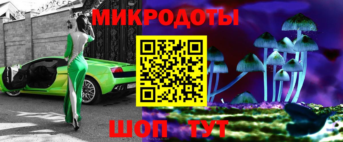 Норильск  Псилоцибиновые грибы мухоморы  Вход с VPN 